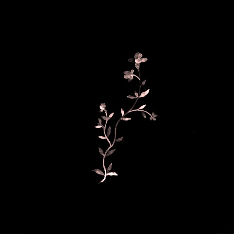 File:Tumblr ncmrdyUc6I1rxofjho1 250.gif