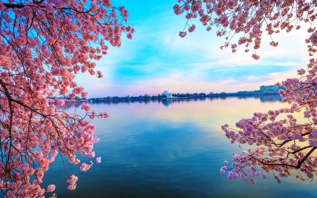 File:Nature-wallpapers-natural-green-mac-desktop-images-clean-weathers-free-natural-images-trees-fresh-air-1810x1283-736x459.jpg