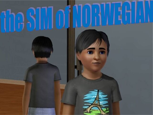 File:TheSIMofNorwegian.jpg