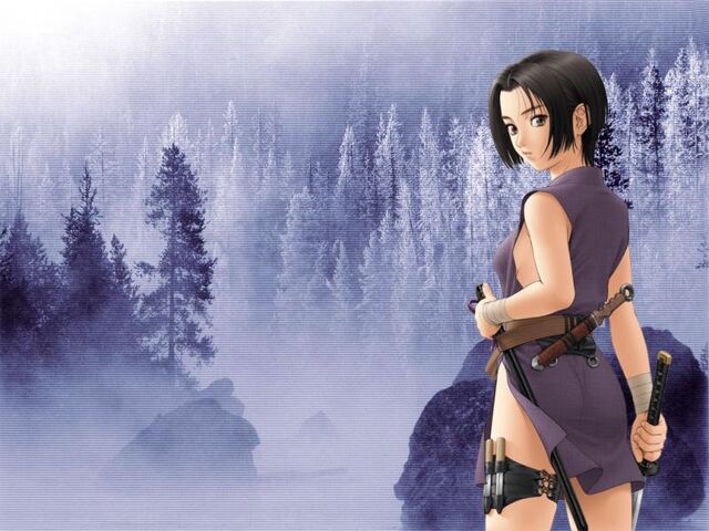 File:Ninja Girl anime.jpg
