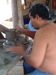 Potter-GuatilCR2003.jpg