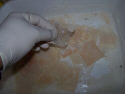Nitratodeplata radiografia.jpg