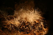 Ochtina Aragonite Cave 38