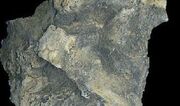 Mineraly.sk - slien