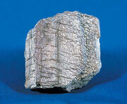 PhylliteUSGOV.jpg