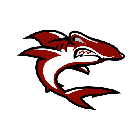 File:Sanfranciscohammerheads logooriginal.png