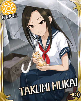 Card 300143 xl