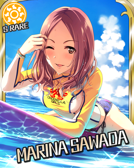 Card 300379 xl