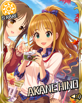 Card 300311 xl
