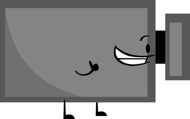 File:CameraIdle.png