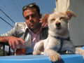 Thumbnail for version as of 16:55, September 20, 2009