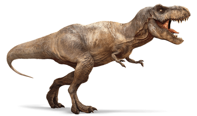 File:Tyrannosaurus.png