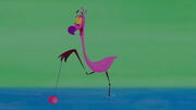 Yo Yo Flamingo