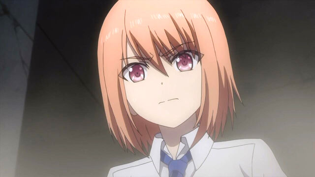 File:Medoki.jpg