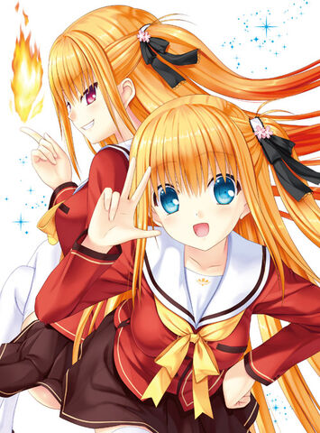 File:Blu-ray & DVD 2.jpg