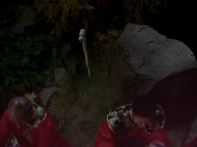 File:8x14P1.png