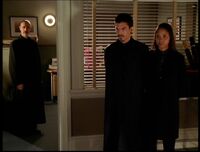 7x10-Avatars