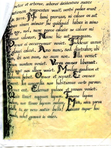 File:LatinNellScan2.jpg