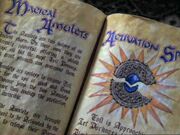 AmuletsBOS
