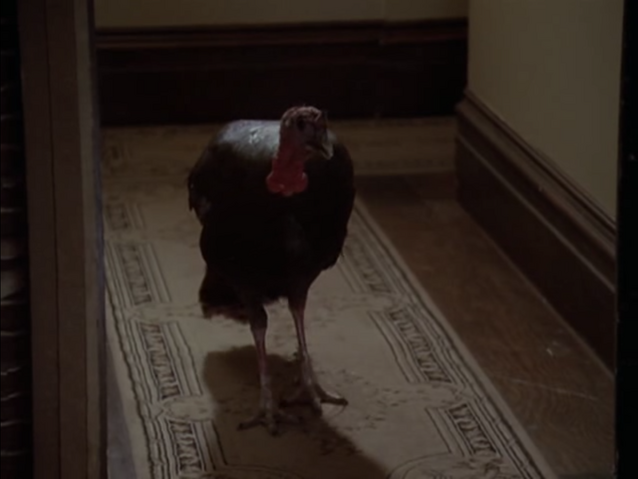 File:5x13-44.png