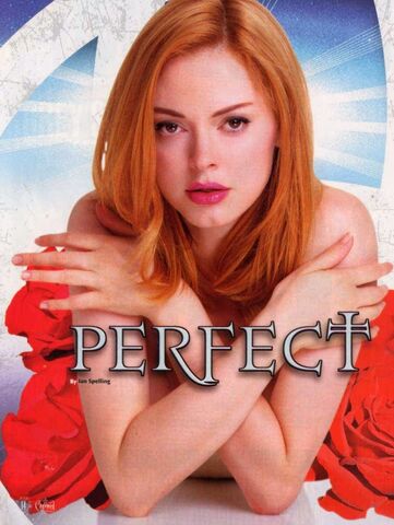 File:Perfect-Rose1.jpg