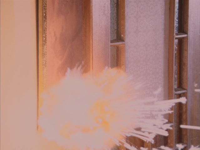 File:8x16P5.png