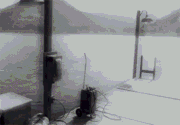Pattysdeath.gif