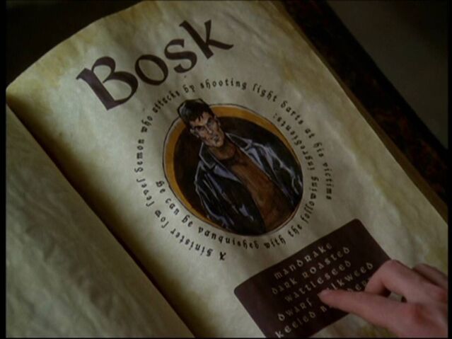 File:Bosk bos.jpg
