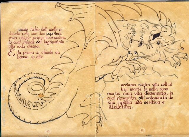 File:CHARMED BOS LATIN.jpg