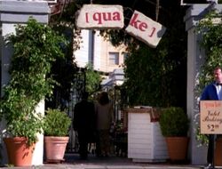 Quake Out1