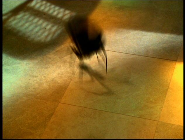 File:Spider Demon Shapehifting.jpg
