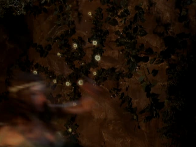 File:5x19P1.png