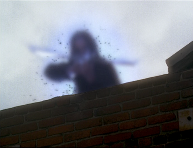 File:6x16P14.png