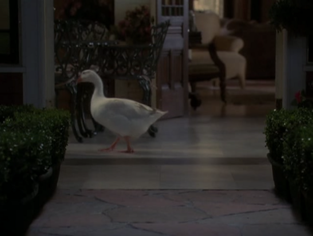 File:5x15-2.png