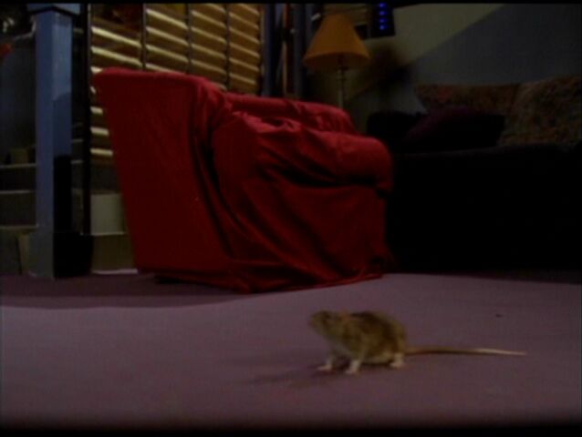 File:Charmed511 109.jpg