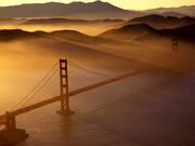 Goldengate morning-1-