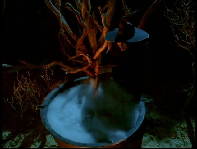 Ficheiro:Wicked witch.jpeg