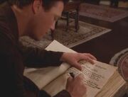 BOSWhiteligtersWriteLeo