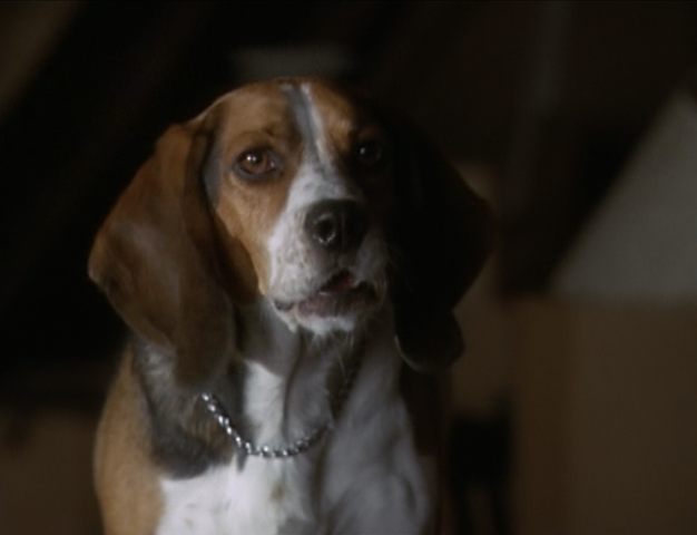 File:6x01-27.png