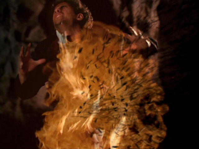 File:8x21P11.png