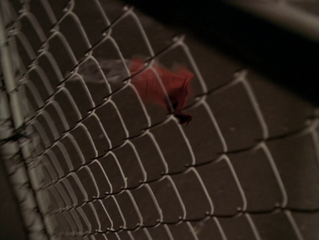 File:8x05P6.png