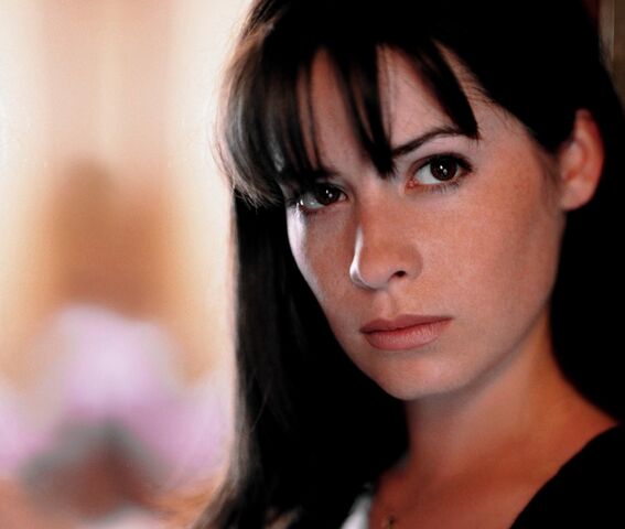 File:New holly 03.jpg