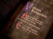 VotumSanguinis