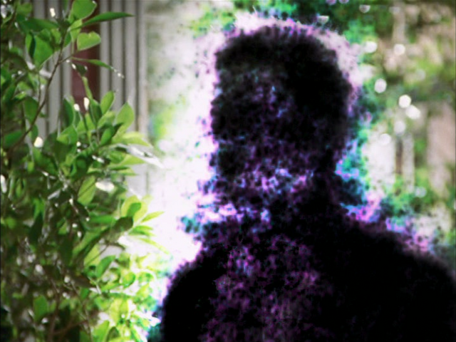File:8x19P12.png