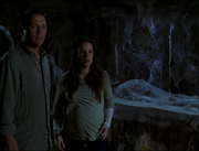 6x18-40