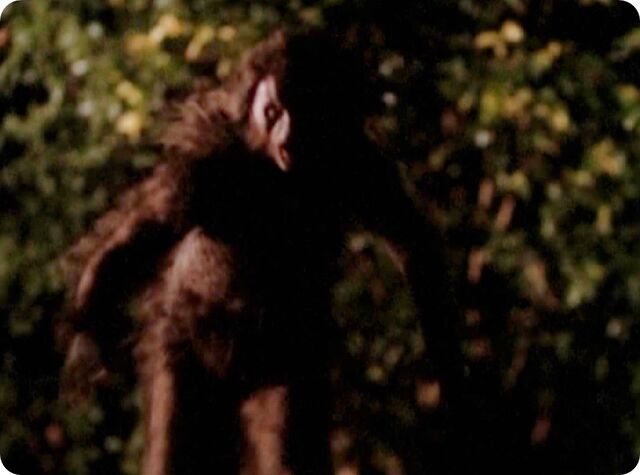 File:Immobilized Wendigo.jpg