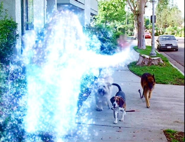 File:Paige as a Dog Walker.jpg