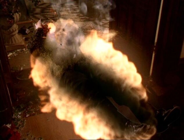 File:Seeker Destruction2.jpg