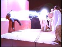 Elders Killing Leo