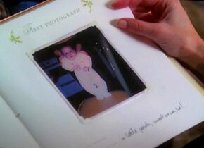 PipersBabyBook